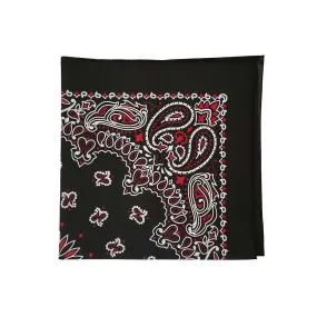 Austin Accent Paisley Print Bandana