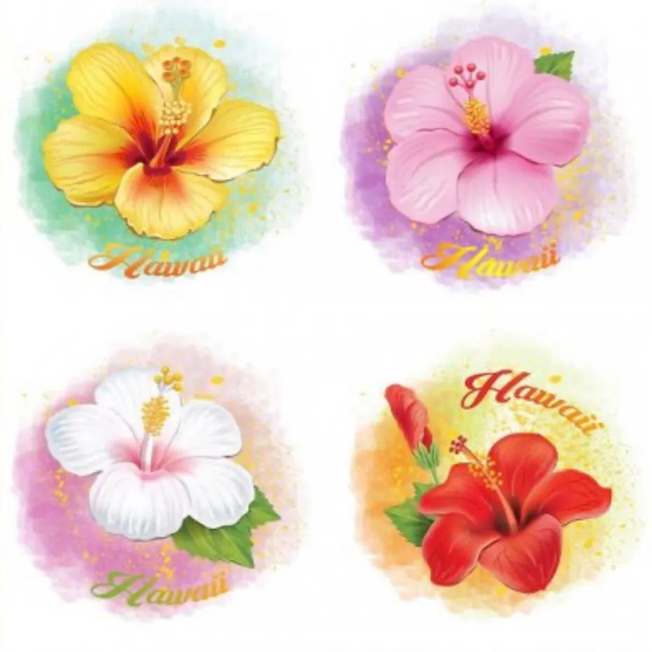 Ceramic Hawaii Flower Coasters