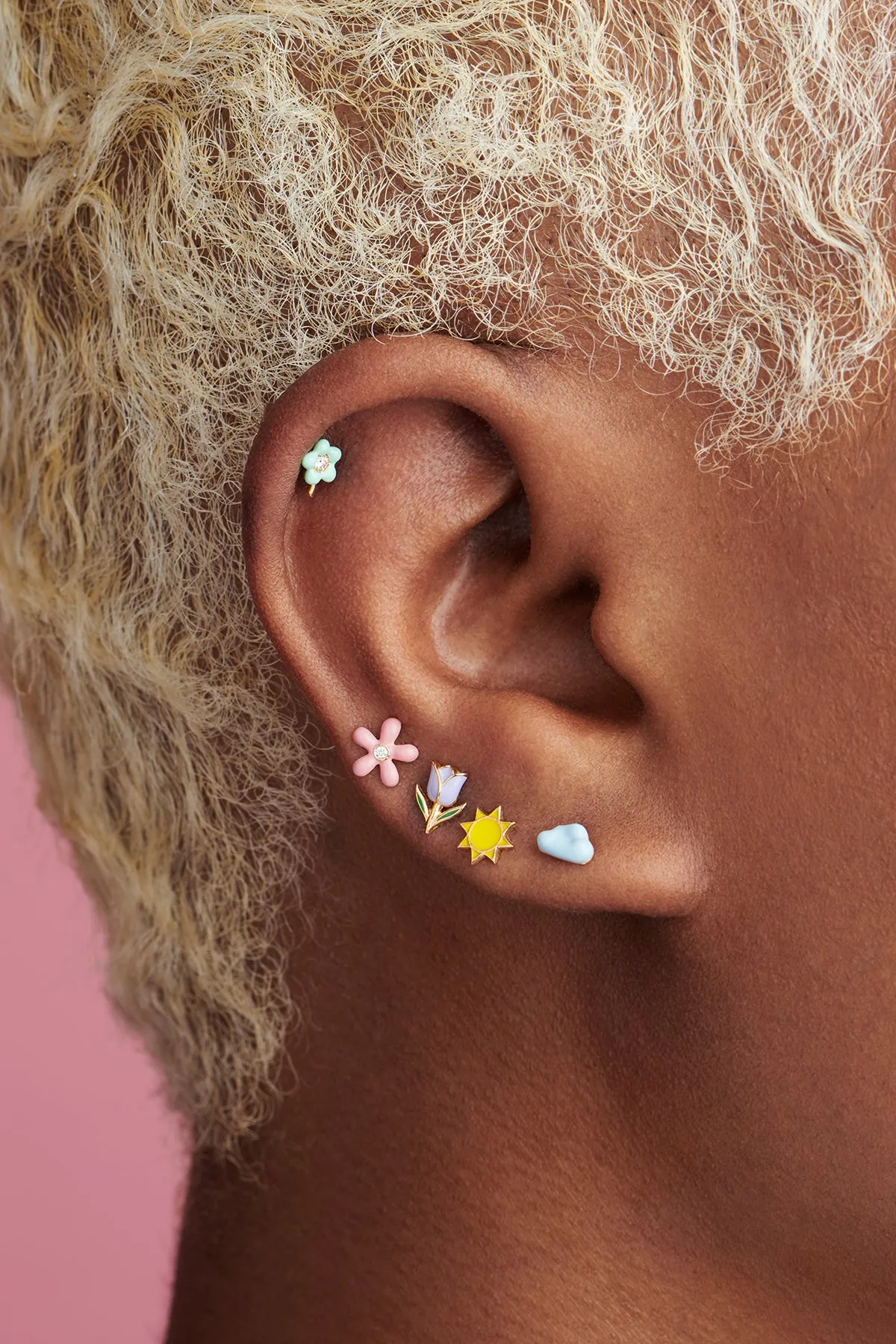 Wildflower Stud - In Stock